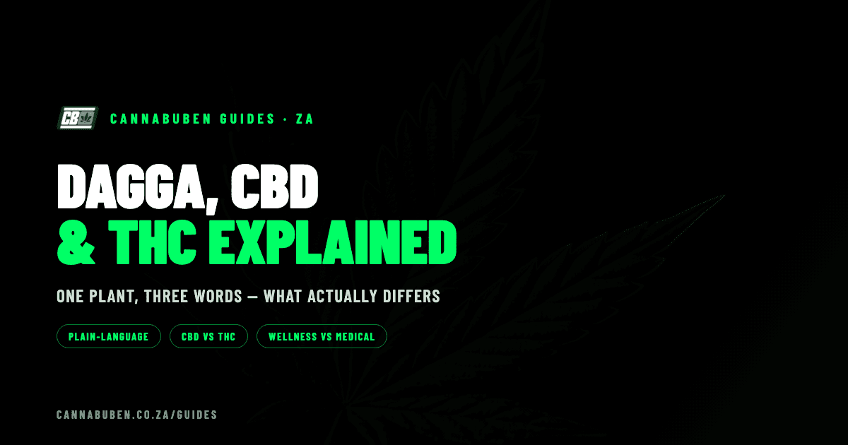 Dark editorial banner reading "Dagga, CBD & THC explained" with a green cannabis-leaf motif — Cannabuben guides