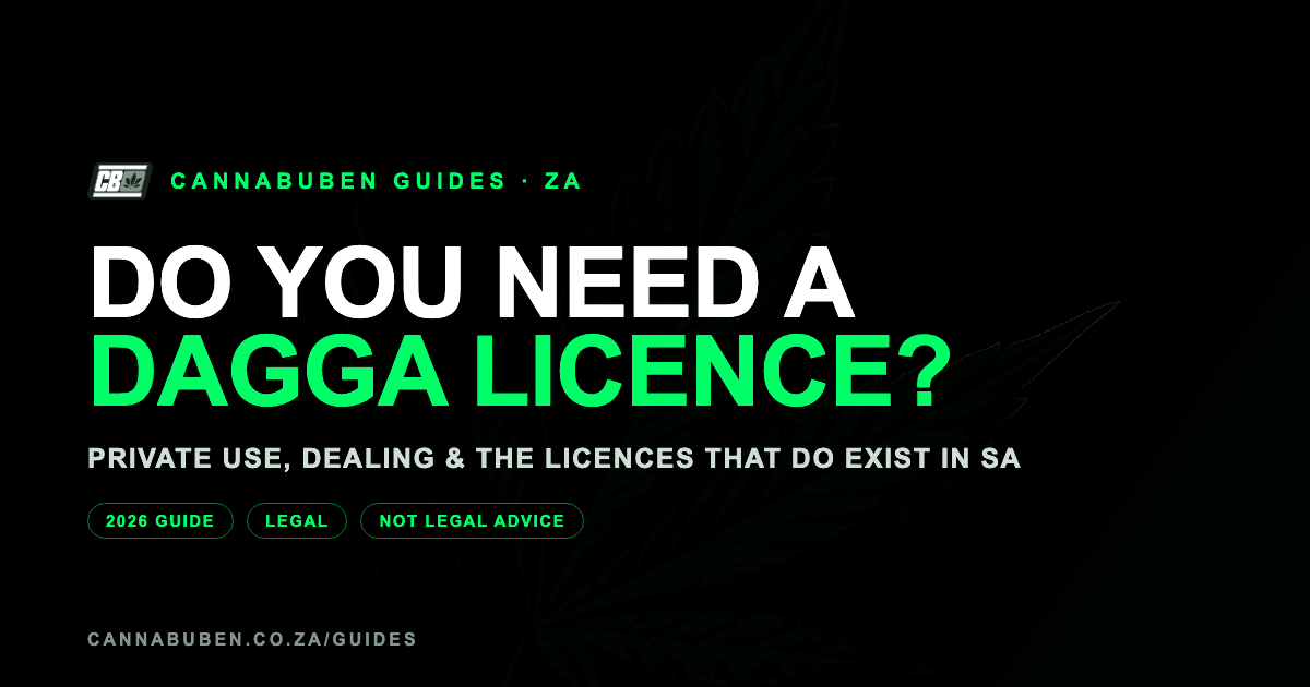 Dark editorial banner reading "Do you need a dagga licence?" with a green cannabis-leaf motif — Cannabuben guides