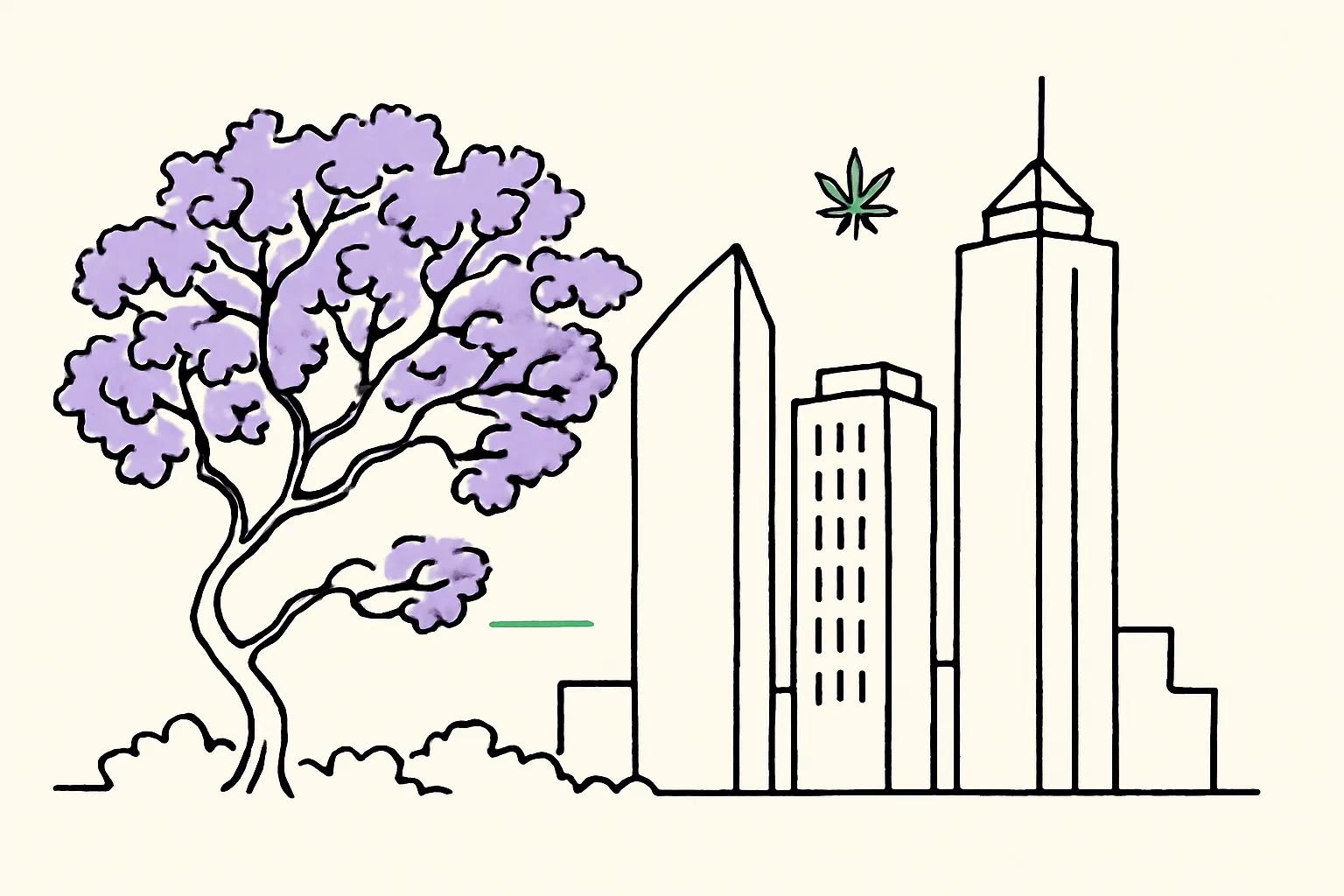 Line-art illustration of Johannesburg with Sandton skyline towers and a jacaranda tree